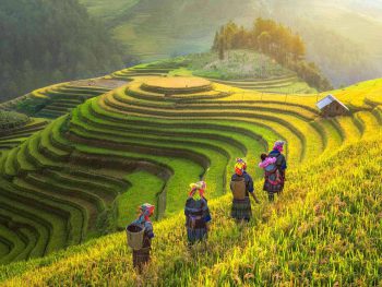 3-Day Pu Luong Nature Retreat