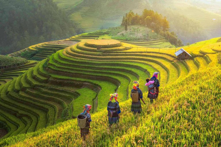 3-Day Pu Luong Nature Retreat