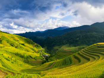 4-Day Mai Chau & Pu Luong Nature Retreat