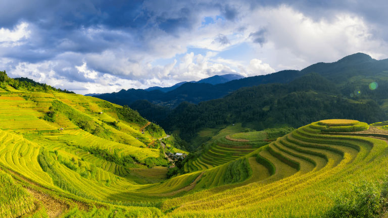 4-Day Mai Chau & Pu Luong Nature Retreat